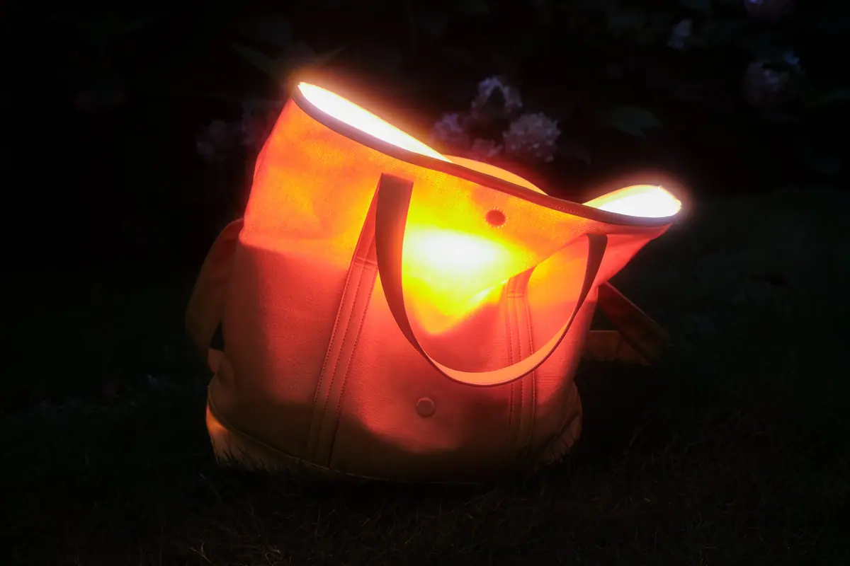Tote Bag /Messenger Bag